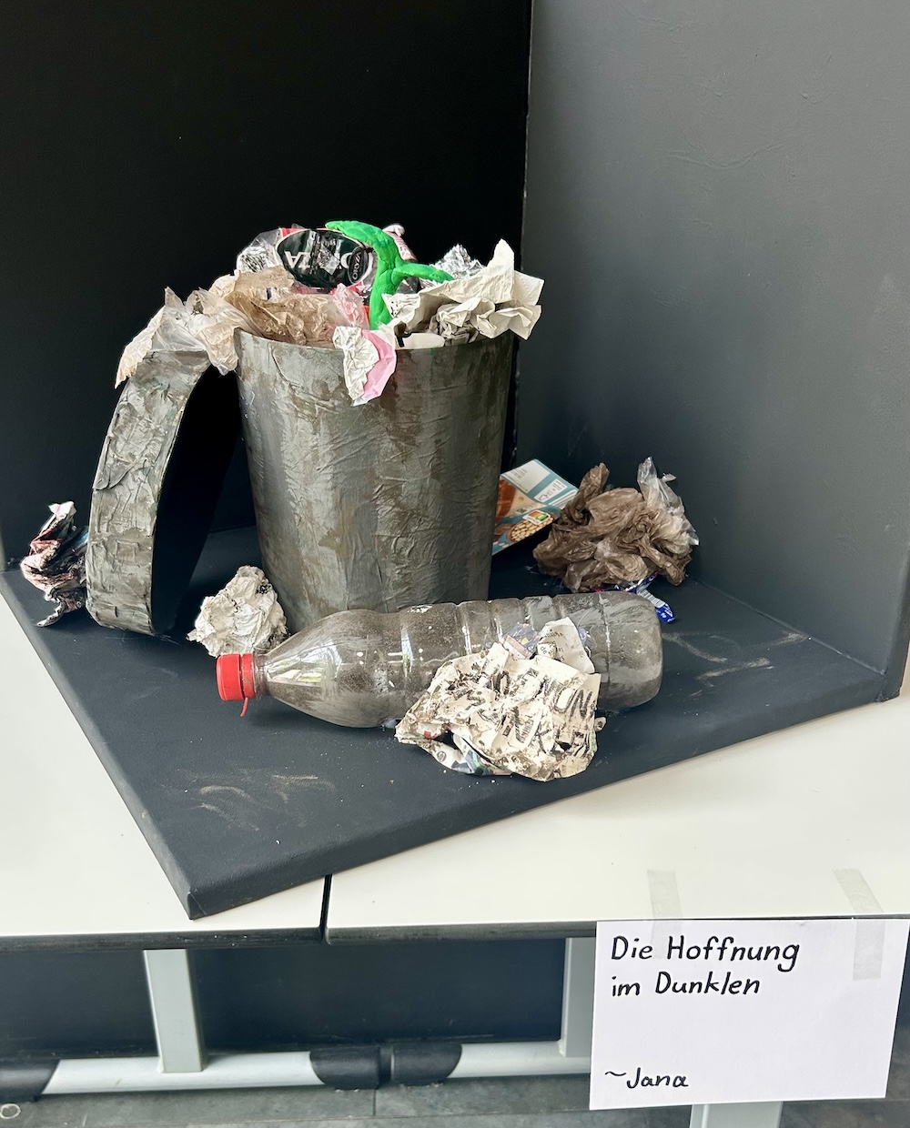 2025 09 30 Umweltprojekt18