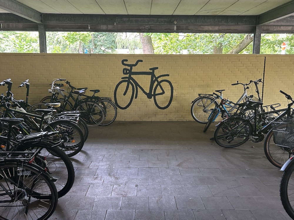 2025 09 30 Umweltprojekt6